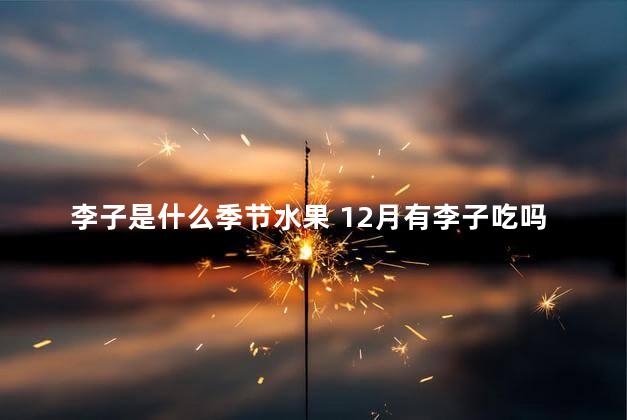 李子是什么季节水果 12月有李子吃吗